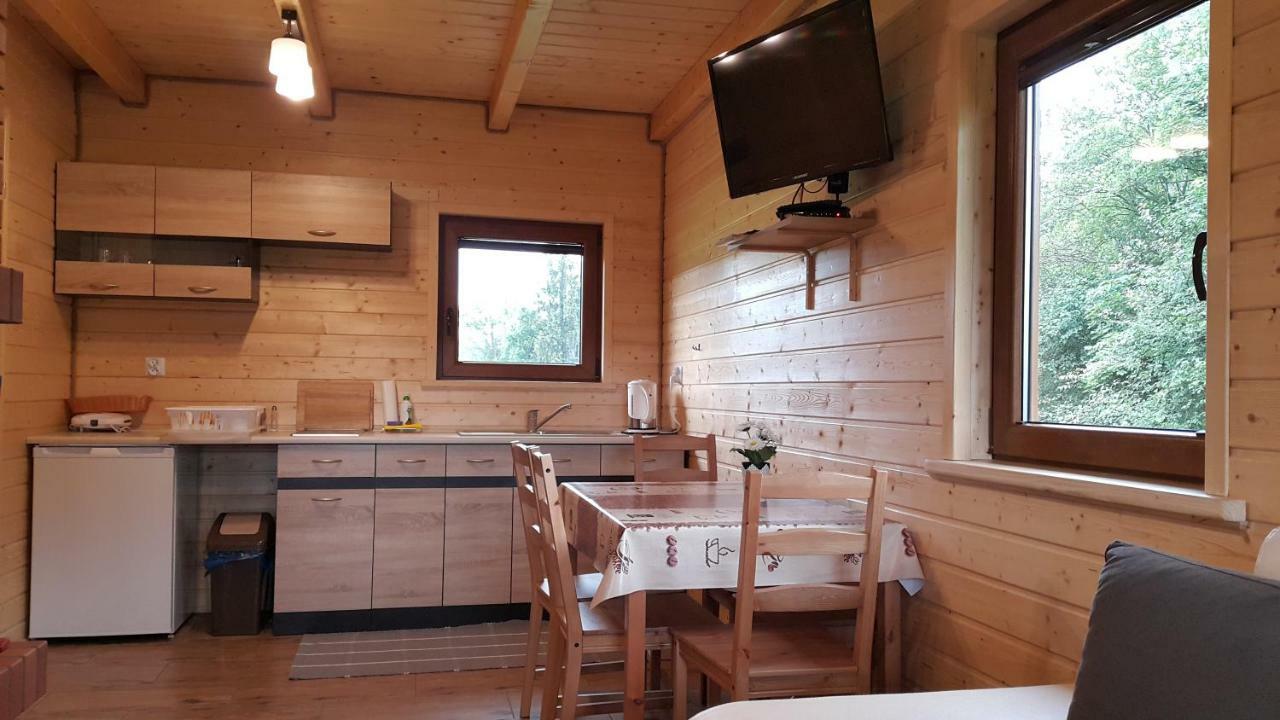 Gaja Wysowa-Zdrój